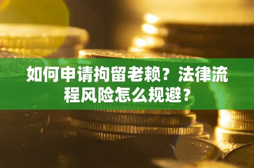 武汉如何申请拘留老赖？法律流程风险怎么规避？