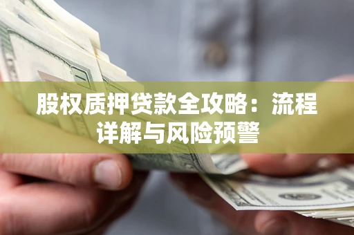 武汉股权质押贷款全攻略：流程详解与风险预警