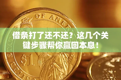 武汉借条打了还不还？这几个关键步骤帮你赢回本息！