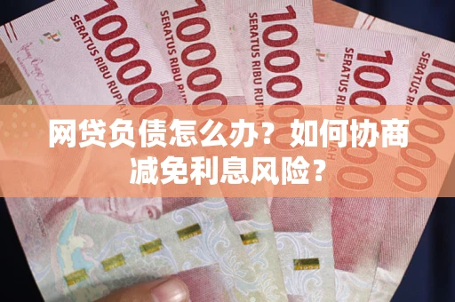 武汉网贷负债怎么办？如何协商减免利息风险？