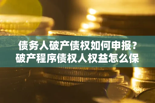 武汉债务人破产债权如何申报？破产程序债权人权益怎么保障？