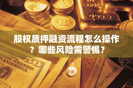 武汉股权质押融资流程怎么操作？哪些风险需警惕？