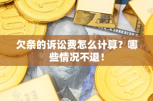 武汉欠条的诉讼费怎么计算？哪些情况不退！
