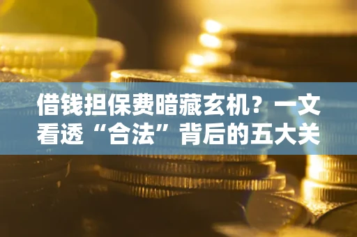 武汉借钱担保费暗藏玄机？一文看透“合法”背后的五大关键陷阱