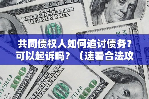 武汉共同债权人如何追讨债务？可以起诉吗？（速看合法攻略）