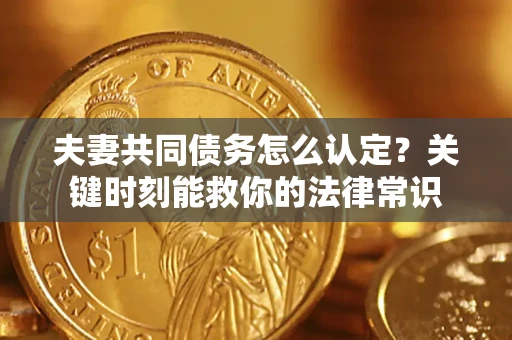 武汉夫妻共同债务怎么认定？关键时刻能救你的法律常识