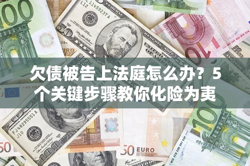 武汉欠债被告上法庭怎么办？5个关键步骤教你化险为夷